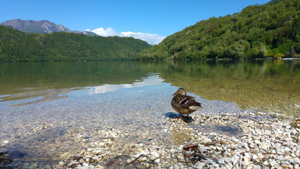 B612 Ξενοδοχείο Levico Terme Εξωτερικό φωτογραφία